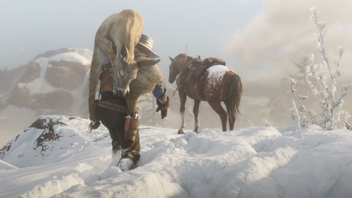 Red Dead Redemption 2 Animales: mapache - pájaro carpintero - Red Dead Redemption 2 ubicaciones de animales: dónde encontrar todas las especies en el salvaje oeste